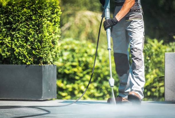 Best Graffiti Removal  in Clovis, CA
